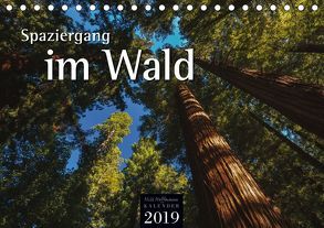 Spaziergang im Wald (Tischkalender 2019 DIN A5 quer) von Hoffmann,  Nils