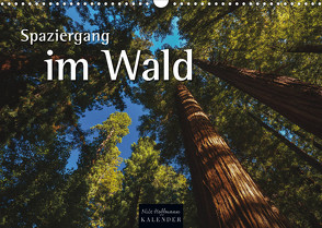 Spaziergang im Wald (Wandkalender 2023 DIN A3 quer) von Hoffmann,  Nils