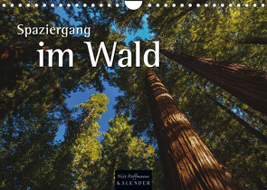 Spaziergang im Wald (Wandkalender 2023 DIN A4 quer) von Hoffmann,  Nils