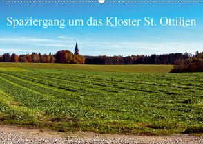 Spaziergang um das Kloster St. Ottilien (Wandkalender 2021 DIN A2 quer) von Marten,  Martina