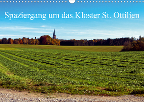 Spaziergang um das Kloster St. Ottilien (Wandkalender 2021 DIN A3 quer) von Marten,  Martina