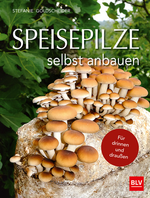 Speisepilze selbst anbauen von Goldscheider,  Stefanie