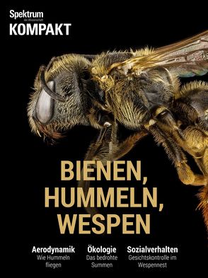 Spektrum Kompakt – Bienen, Hummeln, Wespen