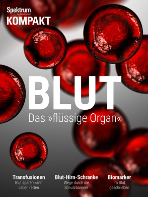 Spektrum Kompakt – Blut