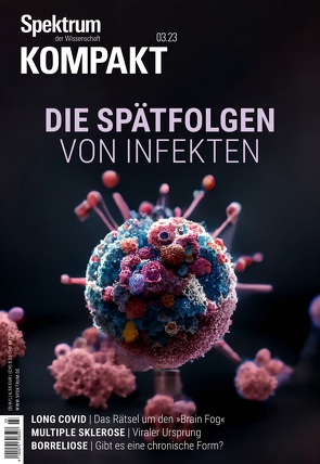 Spektrum Kompakt – Die Spätfolgen von Infekten