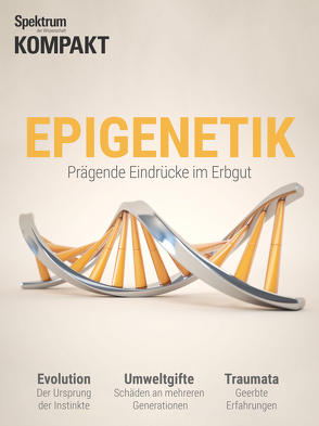 Spektrum Kompakt – Epigenetik 2