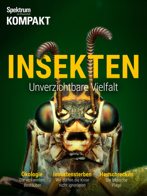 Spektrum Kompakt – Insekten