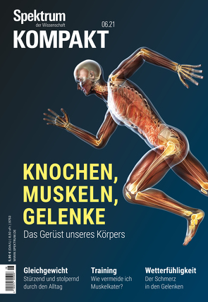 Spektrum Kompakt – Knochen, Muskeln, Gelenke