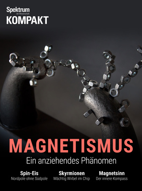 Spektrum Kompakt – Magnetismus
