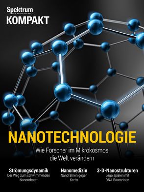 Spektrum Kompakt – Nanotechnologie