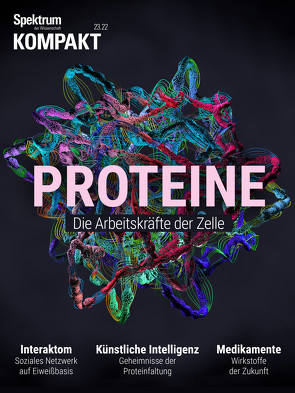 Spektrum Kompakt – Proteine