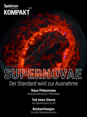 Spektrum Kompakt – Supernovae