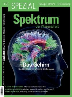 Spektrum Spezial – Das Gehirn