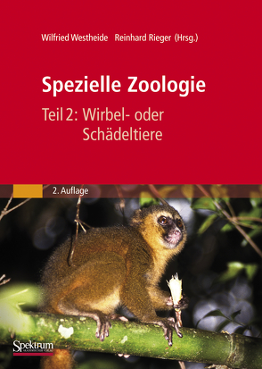 Spezielle Zoologie. Teil 2: Wirbel- oder Schädeltiere von Rieger,  Gunde, Westheide,  Wilfried