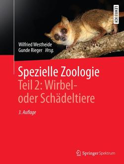 Spezielle Zoologie. Teil 2: Wirbel- oder Schädeltiere von Rieger,  Gunde, Rieger,  Reinhard, Westheide,  Wilfried