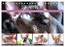 Sphinx. Grazile und anmutige Nacktkatzen (Tischkalender 2024 DIN A5 quer), CALVENDO Monatskalender von Hurley,  Rose