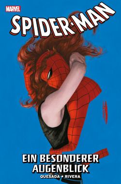 Spider-Man: Ein besonderer Augenblick von Michelinie,  David, Quesada,  Joe, Rivera,  Paolo, Ryan,  Paul, Shooter,  Jim, Strittmatter,  Michael