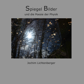 Spiegelbilder und die Poesie der Physik von Lichtenberger,  Jochim
