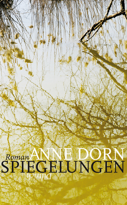 Spiegelungen von Dorn,  Anne
