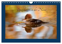 Spiegelungen in der Natur (Wandkalender 2024 DIN A4 quer), CALVENDO Monatskalender von Erlwein,  Winfried