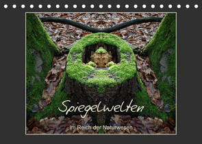 Spiegelwelten – Im Reich der Naturwesen (Tischkalender 2023 DIN A5 quer) von Hubner,  Katharina
