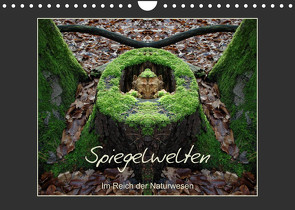 Spiegelwelten – Im Reich der Naturwesen (Wandkalender 2023 DIN A4 quer) von Hubner,  Katharina