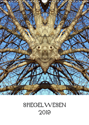 SPIEGELWESEN (Wandkalender 2019 DIN A3 hoch) von Braun,  Dieter