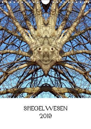 SPIEGELWESEN (Wandkalender 2019 DIN A4 hoch) von Braun,  Dieter