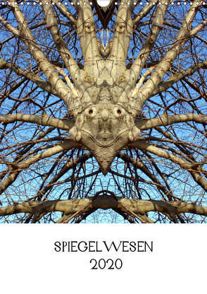 SPIEGELWESEN (Wandkalender 2020 DIN A3 hoch) von Braun,  Dieter