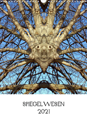 SPIEGELWESEN (Wandkalender 2021 DIN A3 hoch) von Braun,  Dieter