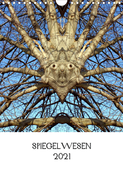 SPIEGELWESEN (Wandkalender 2021 DIN A4 hoch) von Braun,  Dieter