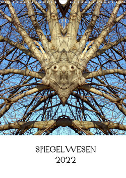 SPIEGELWESEN (Wandkalender 2022 DIN A3 hoch) von Braun,  Dieter