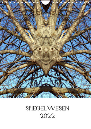 SPIEGELWESEN (Wandkalender 2022 DIN A4 hoch) von Braun,  Dieter