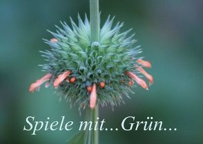 Spiele mit… Grün… (Posterbuch DIN A2 quer) von Schneider,  Bettina