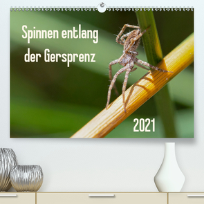 Spinnen entlang der Gersprenz (Premium, hochwertiger DIN A2 Wandkalender 2021, Kunstdruck in Hochglanz) von Blickwinkel,  Dany´s