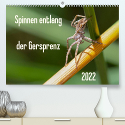 Spinnen entlang der Gersprenz (Premium, hochwertiger DIN A2 Wandkalender 2022, Kunstdruck in Hochglanz) von Blickwinkel,  Dany´s