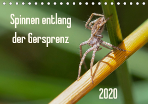 Spinnen entlang der Gersprenz (Tischkalender 2020 DIN A5 quer) von Blickwinkel,  Dany´s