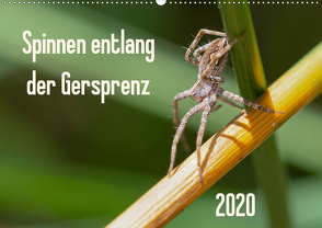 Spinnen entlang der Gersprenz (Wandkalender 2020 DIN A2 quer) von Blickwinkel,  Dany´s