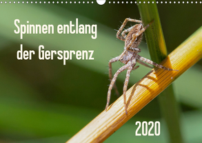 Spinnen entlang der Gersprenz (Wandkalender 2020 DIN A3 quer) von Blickwinkel,  Dany´s