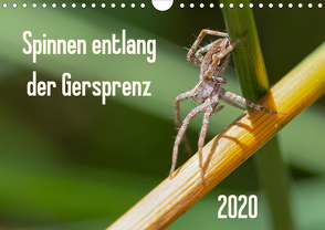 Spinnen entlang der Gersprenz (Wandkalender 2020 DIN A4 quer) von Blickwinkel,  Dany´s