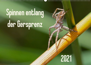 Spinnen entlang der Gersprenz (Wandkalender 2021 DIN A2 quer) von Blickwinkel,  Dany´s