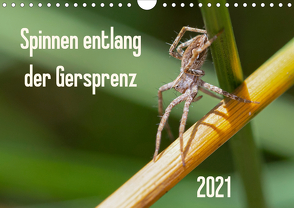 Spinnen entlang der Gersprenz (Wandkalender 2021 DIN A4 quer) von Blickwinkel,  Dany´s