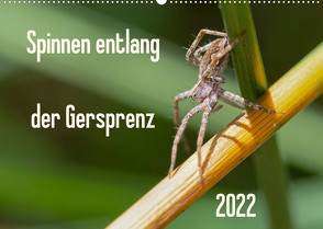 Spinnen entlang der Gersprenz (Wandkalender 2022 DIN A2 quer) von Blickwinkel,  Dany´s
