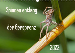 Spinnen entlang der Gersprenz (Wandkalender 2022 DIN A3 quer) von Blickwinkel,  Dany´s