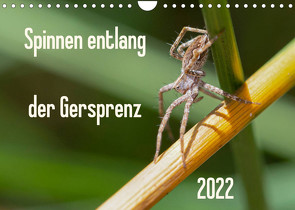 Spinnen entlang der Gersprenz (Wandkalender 2022 DIN A4 quer) von Blickwinkel,  Dany´s