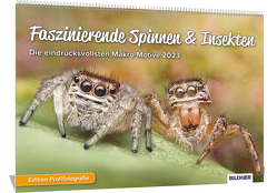 Spinnen Kalender 2023, Faszinierende Spinnen & Insekten, Eindrucksvolle Makro-Motive 2023 von Mett,  Alexander