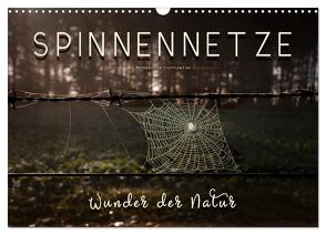 Spinnennetze – Wunder der Natur (Wandkalender 2024 DIN A3 quer), CALVENDO Monatskalender von Roder,  Peter