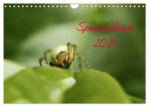 Spinnentiere 2024 (Wandkalender 2024 DIN A4 quer), CALVENDO Monatskalender von Arnold,  Hernegger