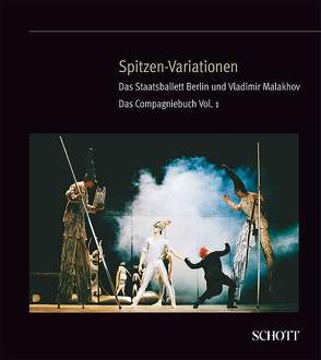 Spitzen-Variationen von Theobald,  Christiane