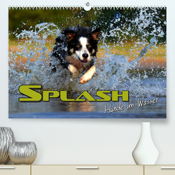 SPLASH – Hunde im Wasser (Premium, hochwertiger DIN A2 Wandkalender 2023, Kunstdruck in Hochglanz) von Bleicher,  Renate